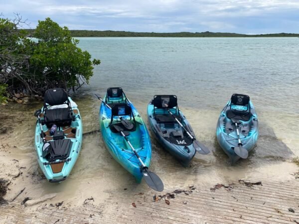 Kayak Nature Adventure Tour - Image 3