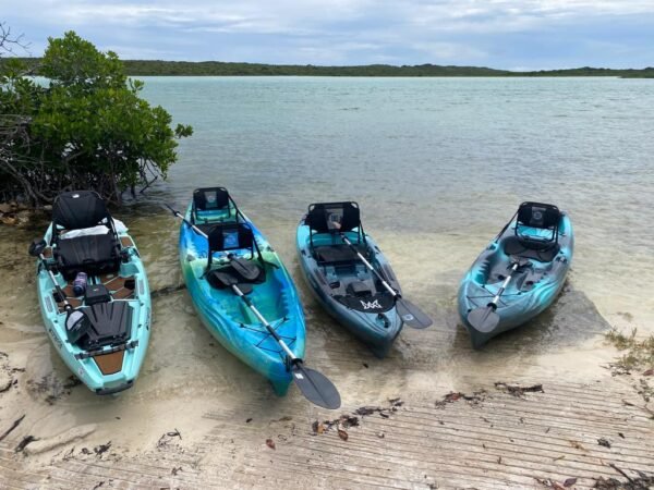 Kayak Nature Adventure Tour