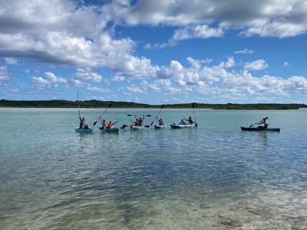 Kayak Nature Adventure Tour - Image 2