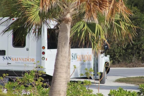 30-32-Passenger Bus Rental - Image 2