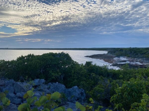 Group Island Tour