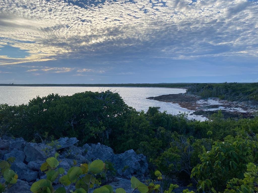 group island tour