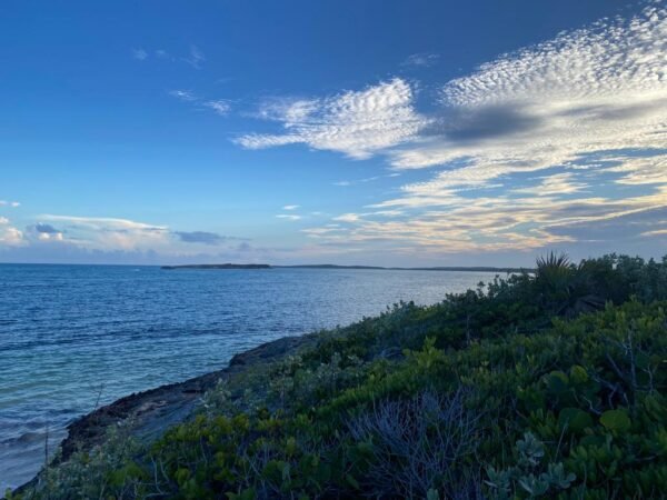 Private Island Tour - Image 2